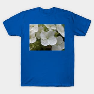 Delicate White Tree Flowers T-Shirt